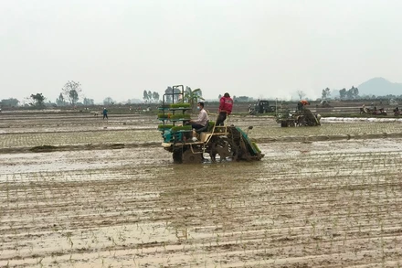 Đẩy mạnh cơ giới hóa trong sản xuất nông nghiệp.