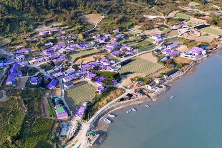 Những mái nhà tím của "Quần đảo Tím" (Ảnh: CNN) 