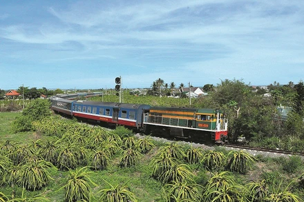 Ảnh minh họa. (Nguồn: VNR)