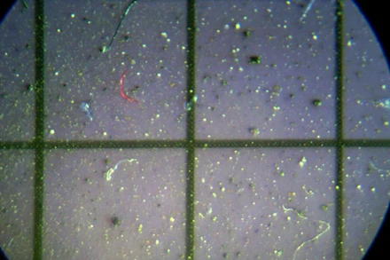 Các hạt vi nhựa trong mẫu tuyết ở Siberia được nhìn qua kính hiển vi của phòng thí nghiệm ở Tomsk, Nga vào ngày 17-3. Ảnh: Trung tâm vi nhựa Siberia thuộc Đại học bang Tomsk, Nga.