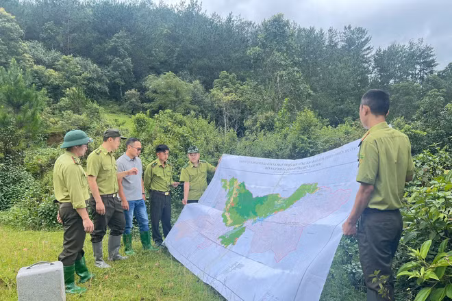 Ban quản lý Khu bảo tồn thiên nhiên Mường La thực hiện công tác tuần tra bảo vệ rừng. (Ảnh: MINH NGHĨA)