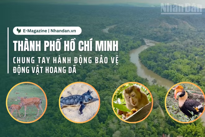 Thành phố Hồ Chí Minh chung tay hành động bảo vệ động vật hoang dã