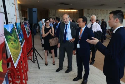 Các đại biểu tham quan Triển lãm. (Ảnh: Nguồn Văn phòng Cơ quan Thường trực về Nhân quyền)