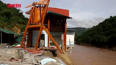 [Video] Nghệ An chi 317 tỉ đồng khắc phục hậu quả mưa lũ