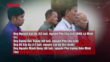 [Video] Nhóm cựu cán bộ xã lĩnh án vì ký khống 114 hồ sơ đất rừng phòng hộ