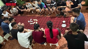 [Video] Phú Thọ triệt xóa sới bạc quy mô lớn