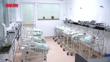 [Video] Đề xuất có thể phạt 100 triệu đồng nếu chọn giới tính thai nhi