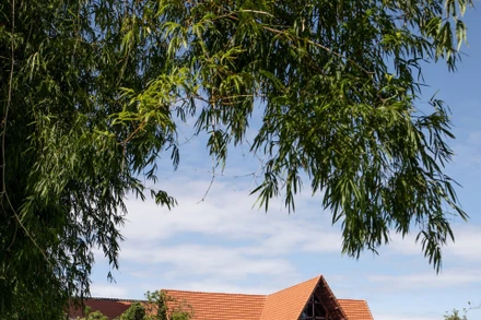 Một hạng mục công trình công giáo với màu mộc mạc của vật liệu gạch, ngói, gỗ, do KTS Lê Minh Hoàng và cộng sự thiết kế, giám sát thi công.