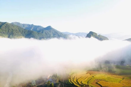 Cánh đồng Lìm Mông đẹp như tranh thủy mạc.