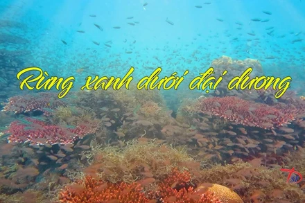 Một trong những bộ phim khoa học tham gia dự giải tại Liên hoan.