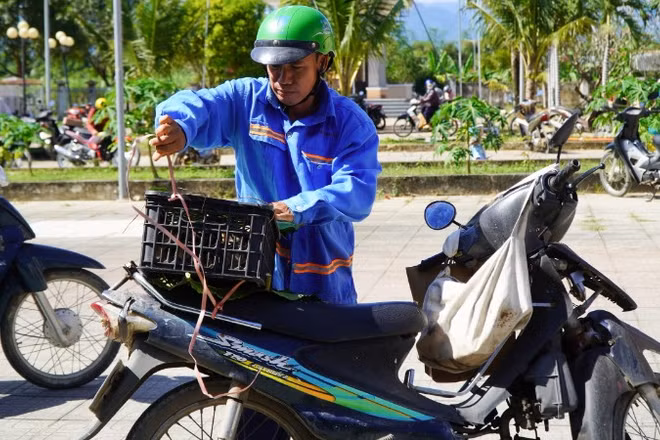Người dân nhận sinh kế là gà giống để phát triển sinh kế hàng ngày.