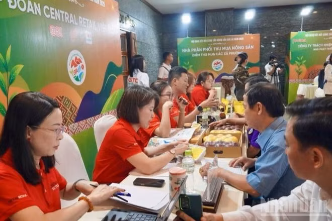 Đội ngũ thu mua của Central Retail Việt Nam đã trực tiếp kết nối 1-1 với khoảng 40 doanh nghiệp, hợp tác xã, cơ sở sản xuất tỉnh Gia Lai.