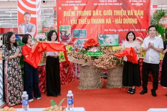 Các đại biểu thực hiện nghi thức cắt băng khai trương, mở bán sản phẩm vải thiều Thanh Hà tại hệ thống GO!.