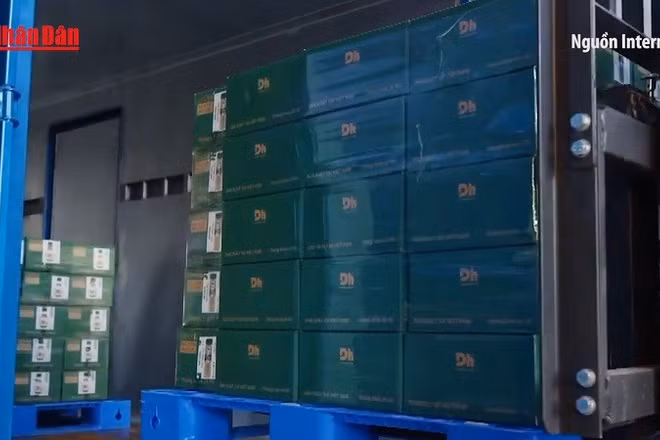 [Video] Thương mại điện tử xuyên biên giới – động lực mới cho xuất khẩu Việt Nam