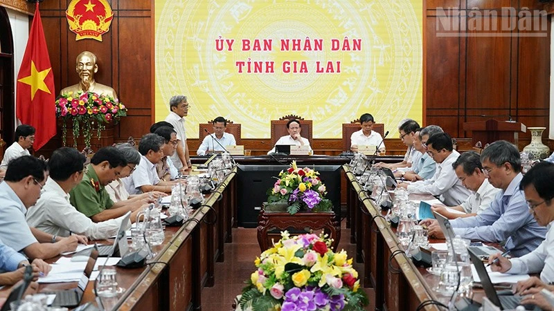 Gia Lai Quyết Liệt Bình Ổn Giá Giữa Biến Động, Ngăn Chặn 'Té Nước Theo Mưa'