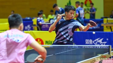 Tay vợt Đoàn Bá Tuấn Anh (Hải Dương Long Hải 1) thi đấu trận tứ kết đồng đội nam.