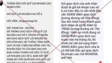Nhiều người dân sập bẫy bởi tin nhắn mời chào tham gia quỹ đầu tư MoMo Pro. (Ảnh chụp màn hình)