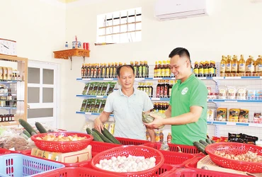 Một gian hàng nông sản sạch của thành viên Hiệp hội nông nghiệp sạch tỉnh Nam Định.