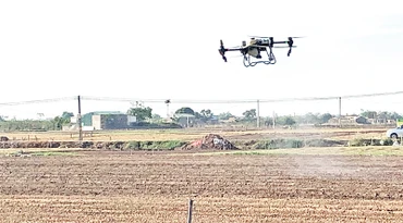 Sử dụng thiết bị bay không người lái (drone) để phun thuốc bảo vệ thực vật trong sản xuất nông nghiệp ở Hải Dương. (Ảnh BẢO HÂN)
