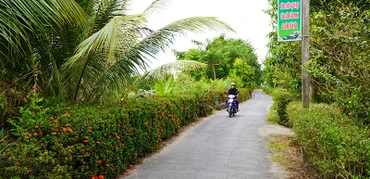 Đoạn đường có hàng rào cây xanh sạch, đẹp.