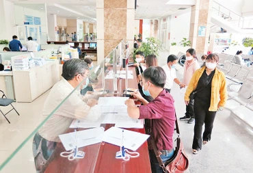 Hướng dẫn người dân, doanh nghiệp khai thuế tại Cục Thuế Thành phố Hồ Chí Minh. (Ảnh P.N) 