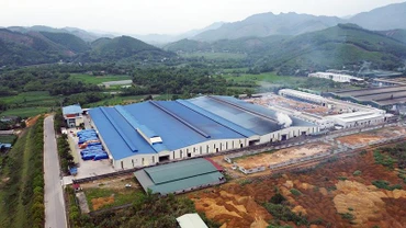Nhà máy chế biến gỗ của Công ty TNHH Lechenwood tại Khu công nghiệp Thanh Bình. (Ảnh TUẤN SƠN)