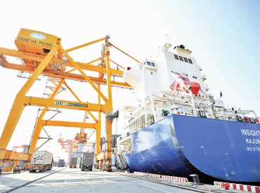 Bốc xếp hàng hóa xuất nhập khẩu tại Cảng Hải Phòng. (Ảnh DUY LINH)