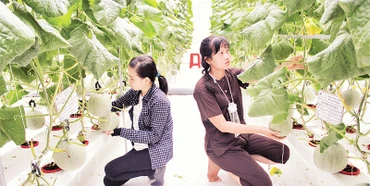 Nông dân tỉnh Bến Tre đẩy mạnh ứng dụng khoa học kỹ thuật để tăng năng suất, lợi nhuận.