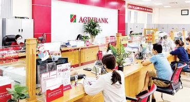 Các ngân hàng đồng loạt giảm lãi suất cho vay dịp cuối năm.