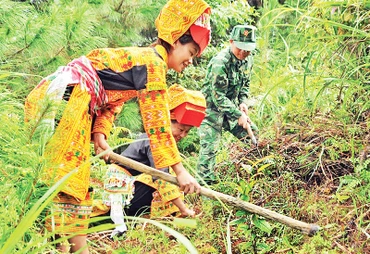 Cán bộ, chiến sĩ Đồn Biên phòng Ba Sơn, xã Cao Lâu, huyện Cao Lộc cùng người dân trồng cây trà hoa vàng.