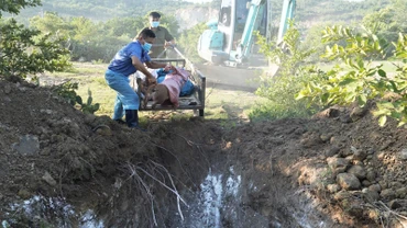 Cán bộ thú ý xã Nhơn Sơn, huyện Ninh Sơn, tỉnh Ninh Thuận tiêu hủy lợn bị dịch tả lợn châu Phi. (Ảnh: NGUYỄN TRUNG)