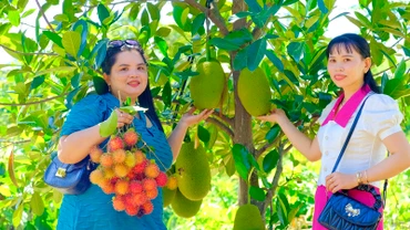 Du khách tham quan "vườn cây ăn quả của các tỉnh miền Tây được thu nhỏ tại xã Lâm Sơn, huyện Ninh Sơn, tỉnh Ninh Thuận. (Ảnh: NGUYỄN TRUNG)
