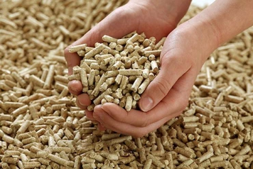 95% sản lượng viên nén xuất khẩu sang thị trường Nhật Bản và Hàn Quốc.