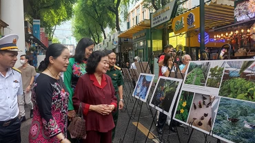 Các đại biểu tham quan triển lãm.
