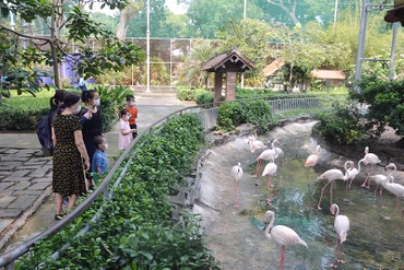 Du khách tham quan Thảo Cầm Viên Sài Gòn.