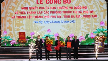 Công bố nghị quyết thành lập các phường thuộc thị xã Phú Mỹ và thành lập thành phố Phú Mỹ. 