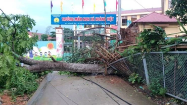 Trường mầm non xã Hoàng Việt Văn Lãng, tỉnh Lạng Sơn bị cây đổ trước cổng trường.