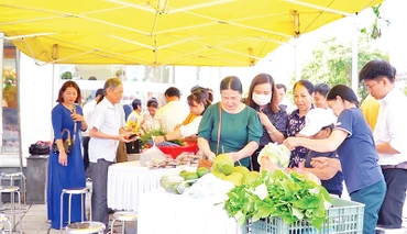 Nhiều nông sản Quảng Trị được người tiêu dùng biết đến nhờ sàn thương mại điện tử. 