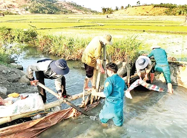 Huyện Di Linh, tỉnh Lâm Đồng huy động lực lượng cùng người dân nạo vét kênh mương tích trữ nước sản xuất nông nghiệp. 