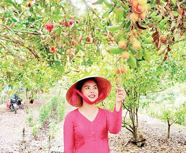 Du khách tham quan, trải nghiệm tại vườn cây sinh thái xã Trung An.