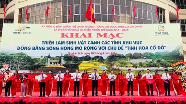 Các đại biểu cắt băng khai mạc triển lãm. 