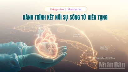 Hành trình kết nối sự sống từ hiến tạng 
