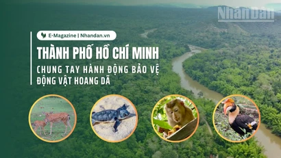 Thành phố Hồ Chí Minh chung tay hành động bảo vệ động vật hoang dã