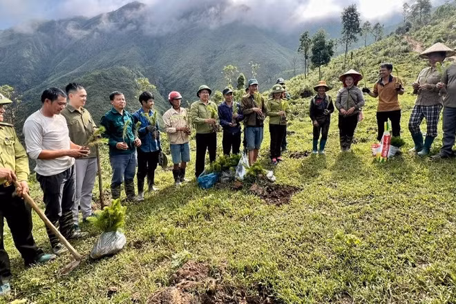 Cán bộ, nhân dân xã Chiềng Sinh ra quân trồng rừng thay thế tại bản Huổi Hốc.