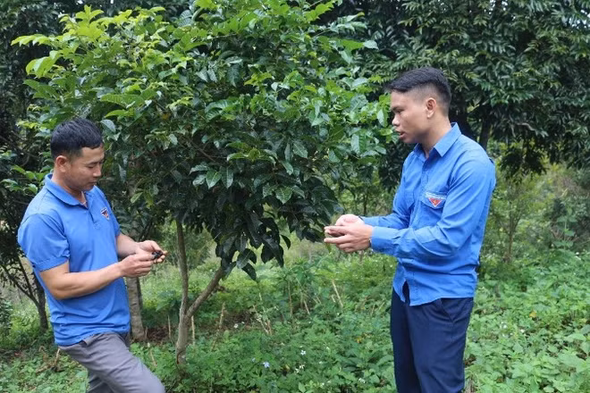 Đoàn viên thanh niên xã Nà Tấu về cơ sở tuyên truyền đến nhân dân lợi ích bảo vệ rừng để hưởng lợi từ dịch vụ môi trường rừng.