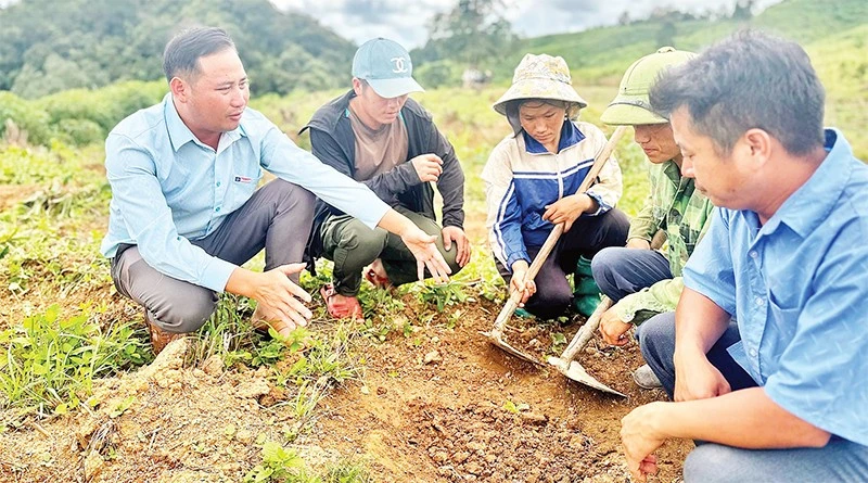 Lãnh đạo xã Tìa Dình hướng dẫn nông dân cách chăm sóc cây cà-phê được triển khai theo mô hình hỗ trợ sản xuất từ chương trình mục tiêu quốc gia.