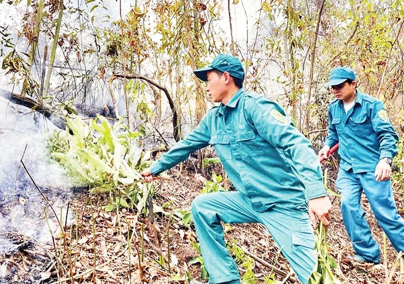 Lực lượng kiểm lâm tỉnh Thái Nguyên thường xuyên diễn tập phòng cháy, chữa cháy rừng.
