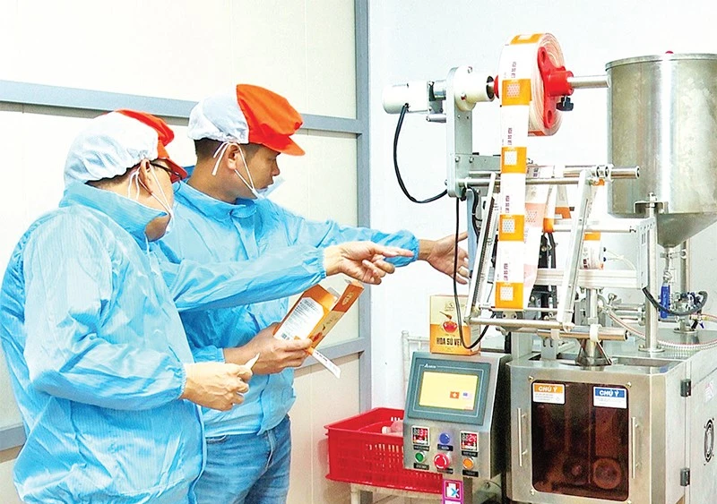 Kiểm tra tem truy xuất nguồn gốc trên dây chuyền đóng gói mật ong Ninh Bình.