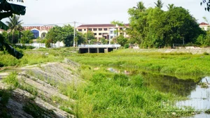 Do nằm ở điểm cuối của mương thoát nước ADB chợ Vườn Lài nên hồ điều hòa Duy Tân thường xuyên đón nhận lượng lớn rác và nước thải sinh hoạt.