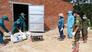 Các lực lượng ở xã Sơn Cẩm Hà giúp dân tiêu hủy lợn bị bệnh dịch tả lợn châu Phi.